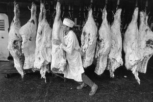 A vintage photo of a man pushing carcasses down the line at a meatpacking plant.