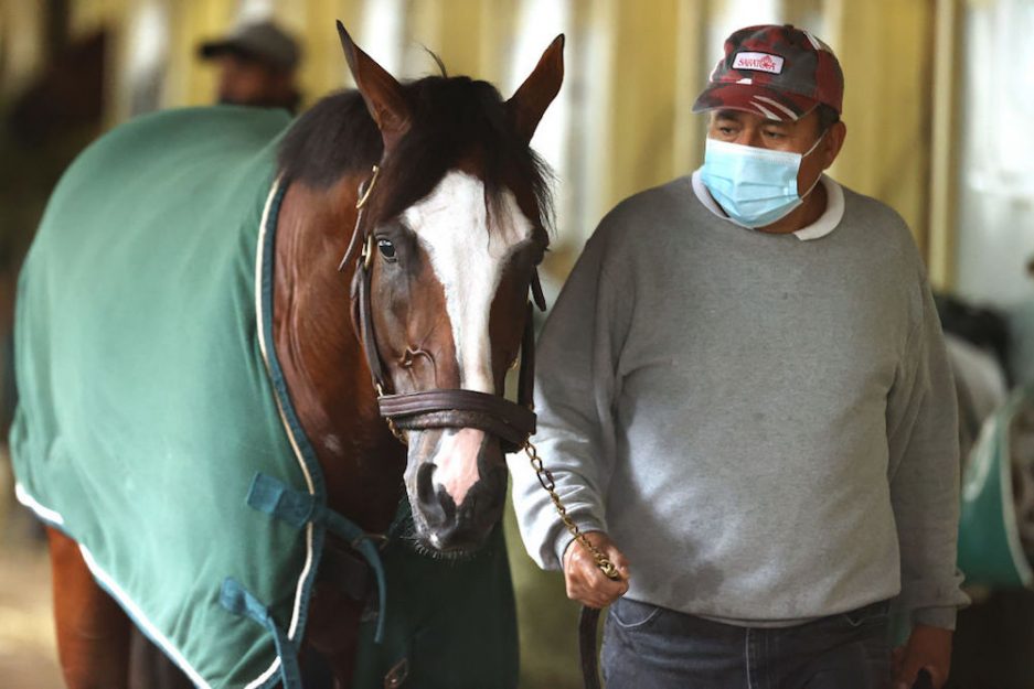 A chestnut horse wearing a green blanket, being walked by a backstretch worker.